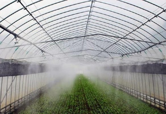 Máy phun sương tưới lan hiện đại