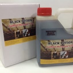 Dung dịch Black potion