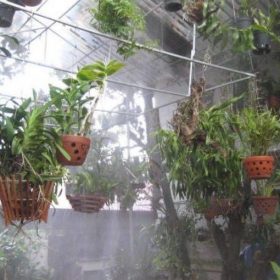 Hệ thống phun sương tưới lan ASAHI