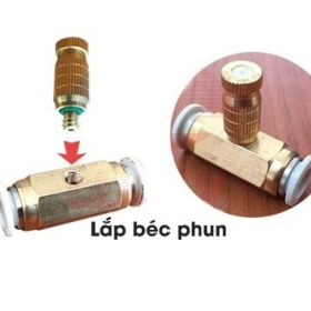 Lắp- đặt  -máy- phun- sương- tưới- lan- chúng- ta- cần- làm- những -gì