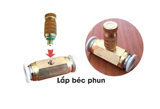 Lắp- đặt  -máy- phun- sương- tưới- lan- chúng- ta- cần- làm- những -gì
