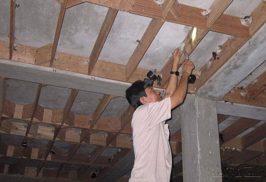 Dịch vụ xây nhà nuôi yến trọn gói